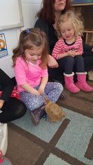 Greta having fun with a turtle at school